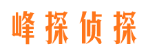 黑水市调查公司